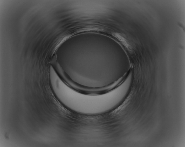 X0000093231369200710171409