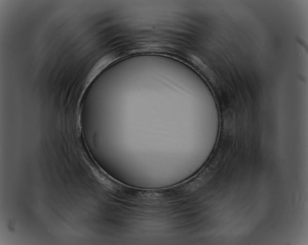 X0000093231370200710171409