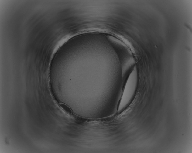 X0000093231373200710171409