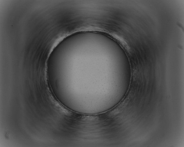 X0000093231374200710171409