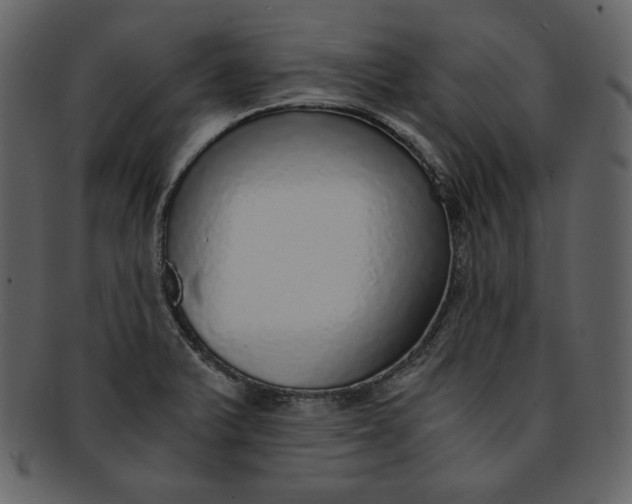 X0000093231375200710171409