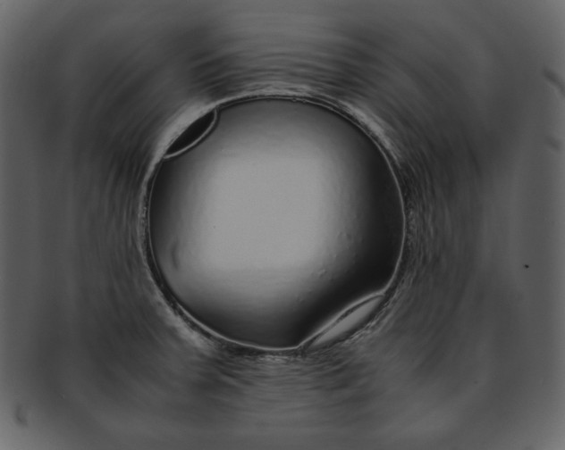 X0000093231379200710171409