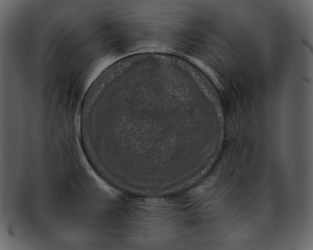 X0000093231383200710171409