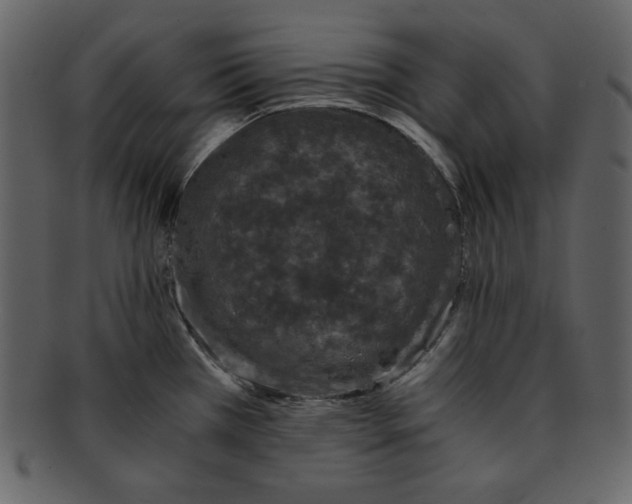 X0000093231385200710171409