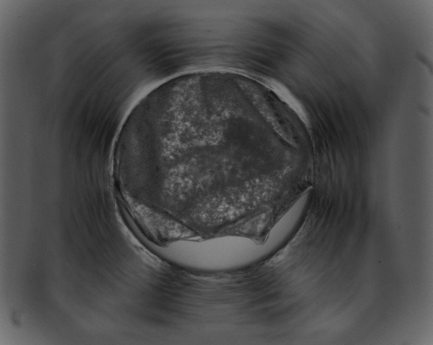 X0000093231388200710171409