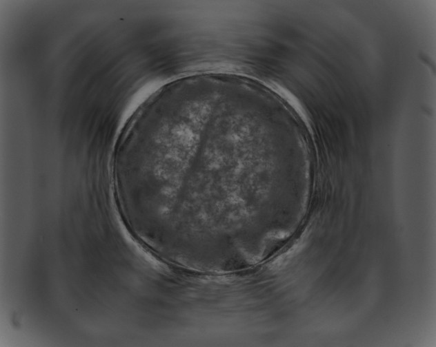 X0000093231389200710171409