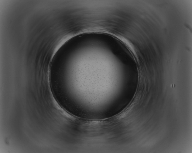 X0000093231390200710171409