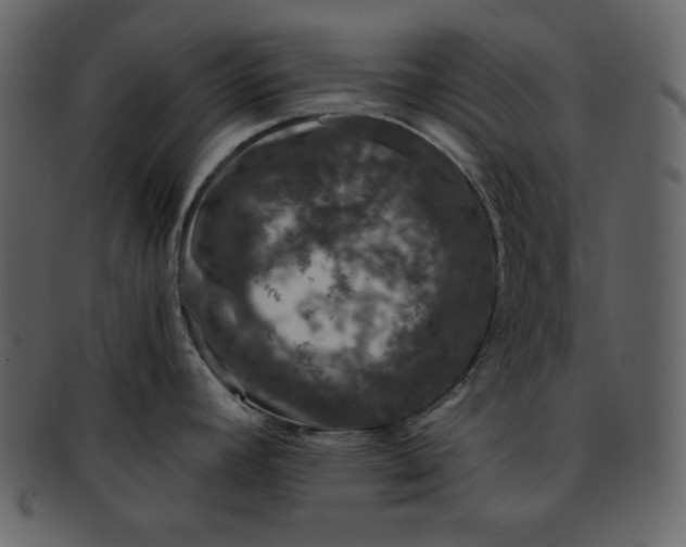 X0000093231392200710171409