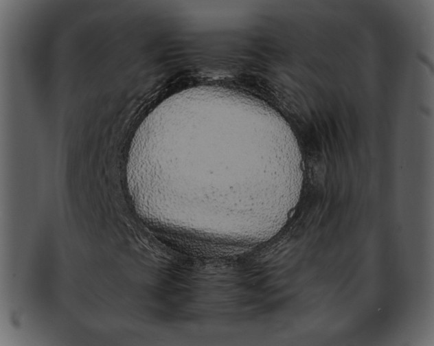 X0000093231393200710171408