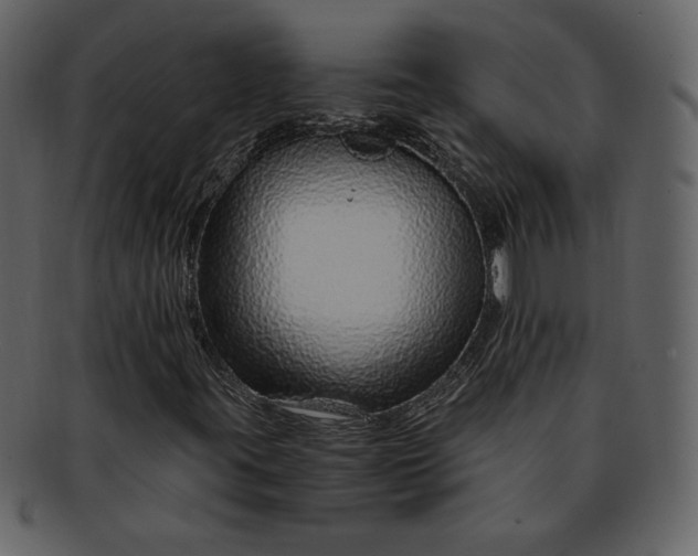 X0000093231395200710171408