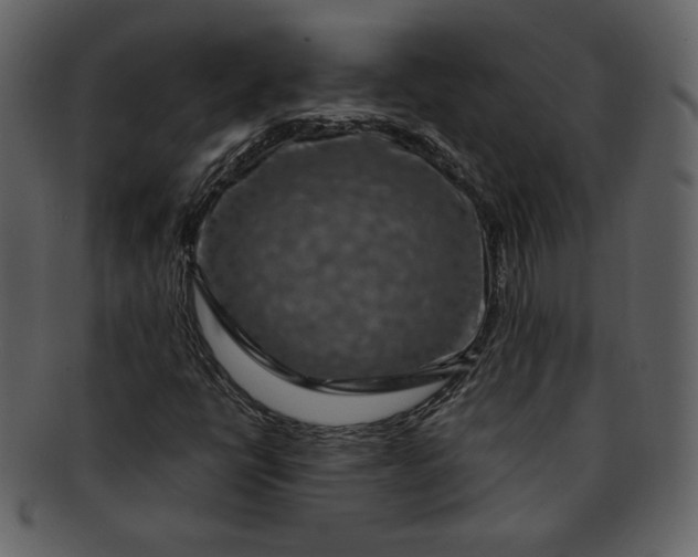 X0000093231398200710171408