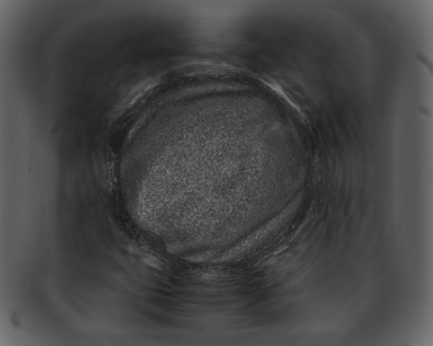 X0000093231399200710171408