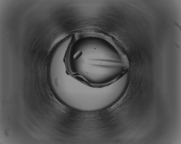 X0000093231402200710171408