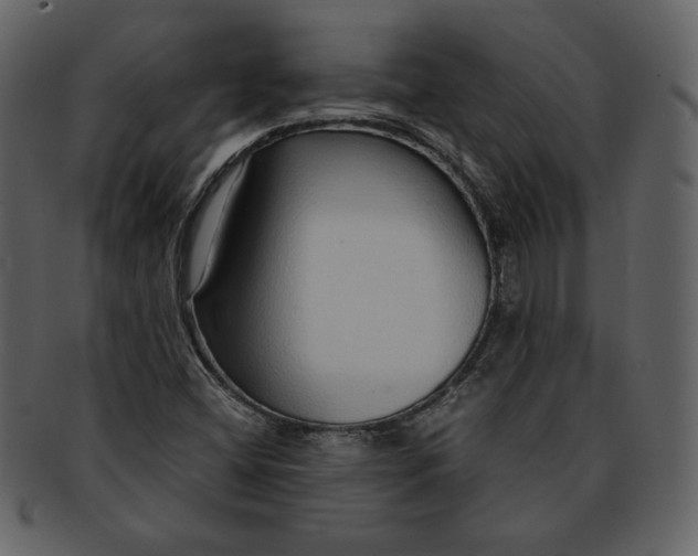 X0000093231404200710171408