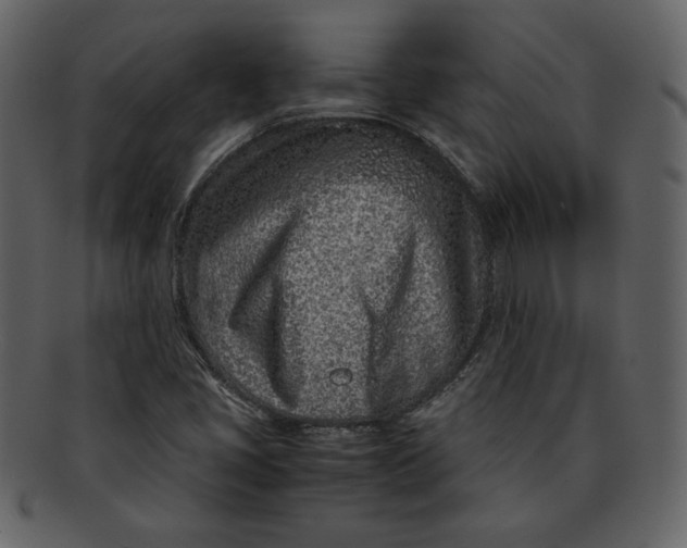 X0000093231405200710171408