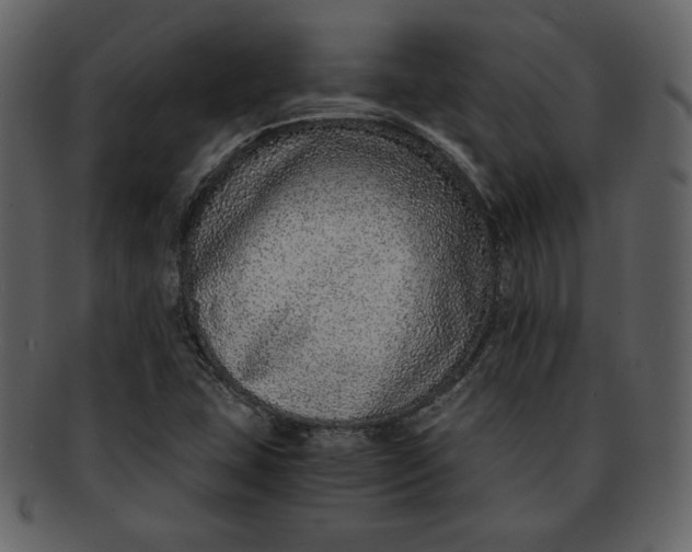 X0000093231407200710171408