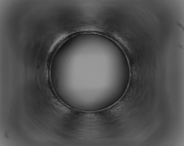 X0000093231408200710171408