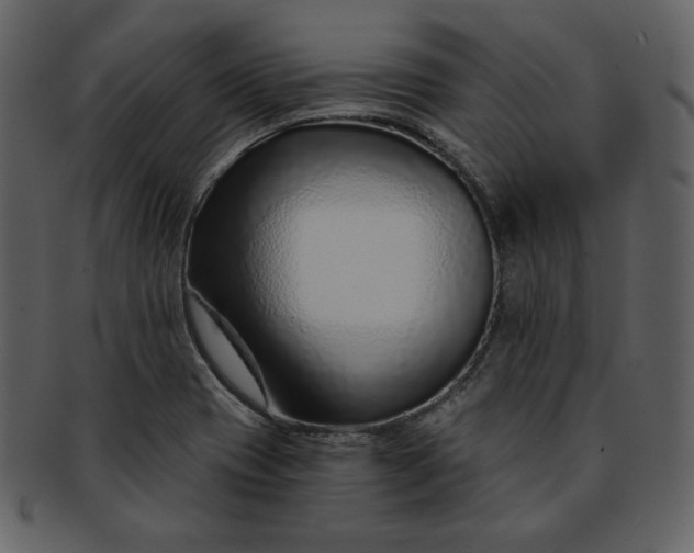 X0000093231417200710171408