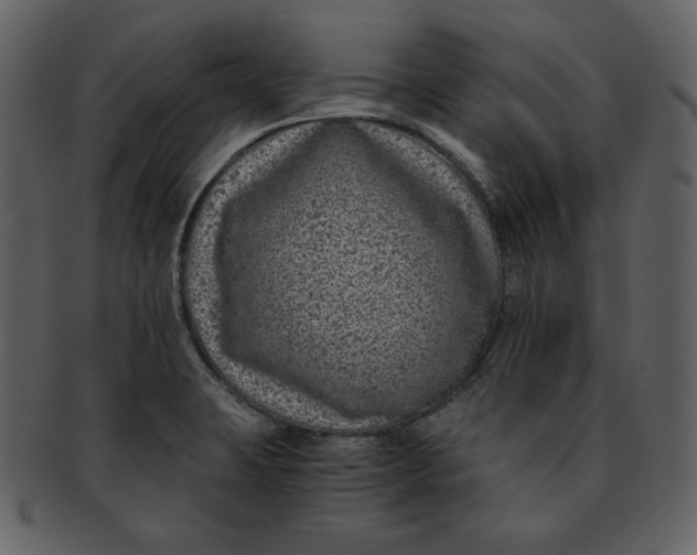 X0000093231423200710171408