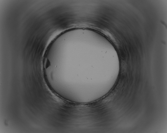 X0000093231424200710171408