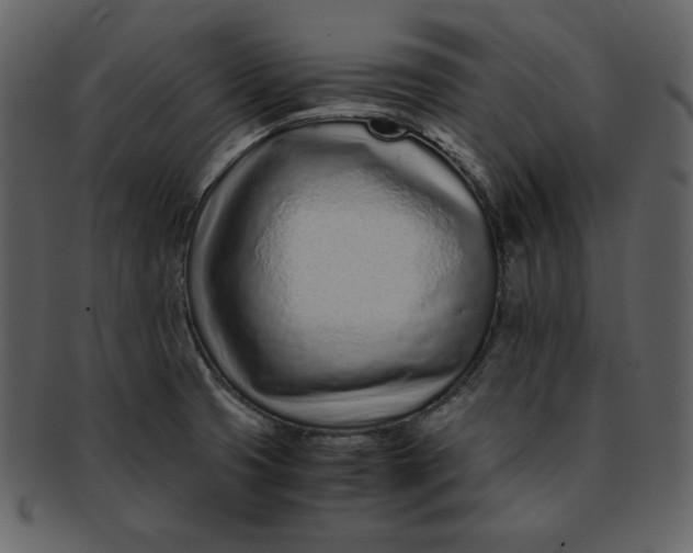 X0000093231425200710171408