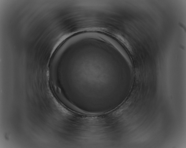 X0000093231428200710171408