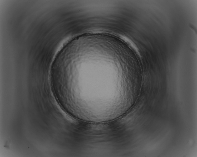 X0000093231429200710171409