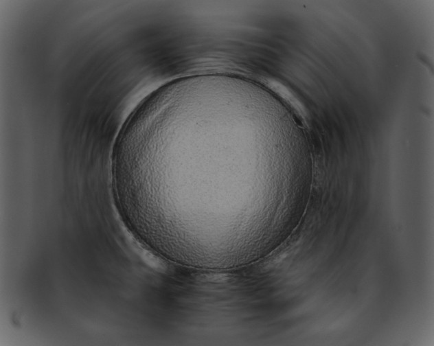 X0000093231431200710171409