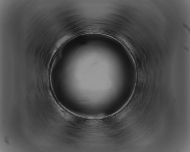 X0000093231434200710171409