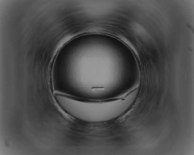 X0000093231437200710171409