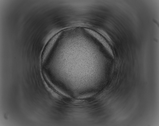 X0000093231439200710171409