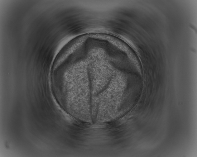 X0000093231440200710171409