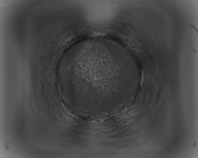 X0000093231441200710171408