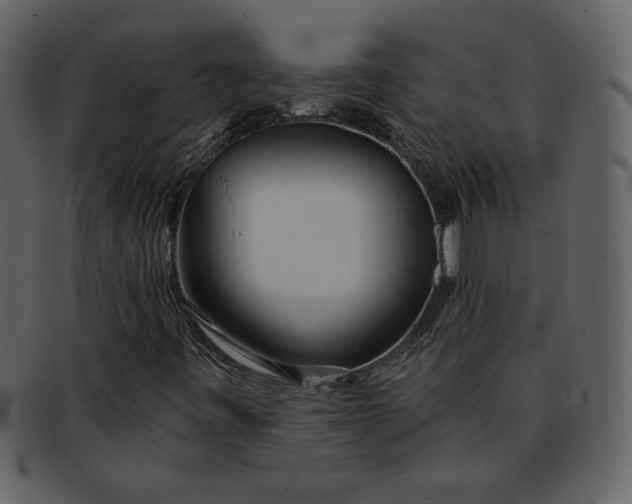 X0000093231443200710171408