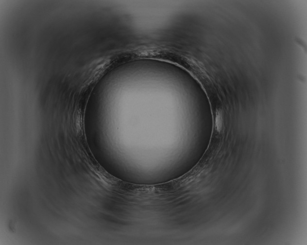 X0000093231444200710171408