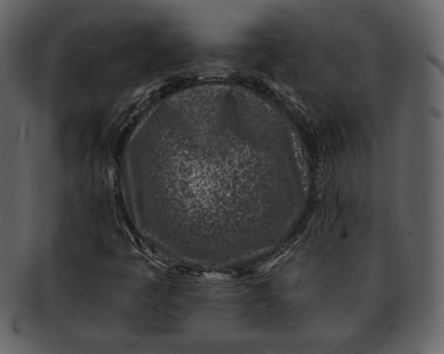 X0000093231445200710171408