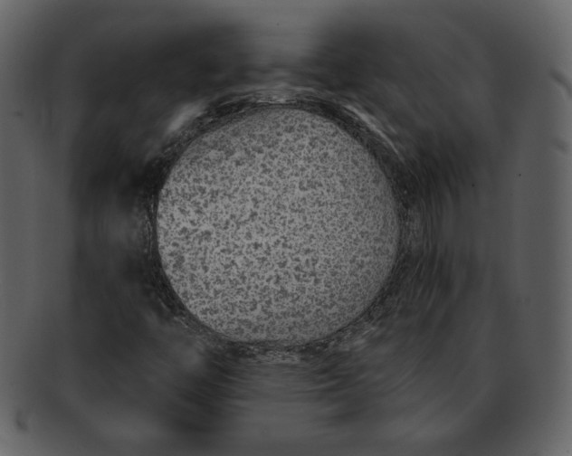 X0000093231446200710171408