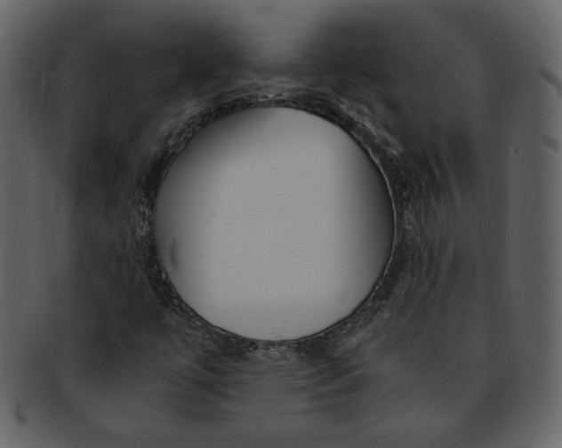 X0000093231447200710171408