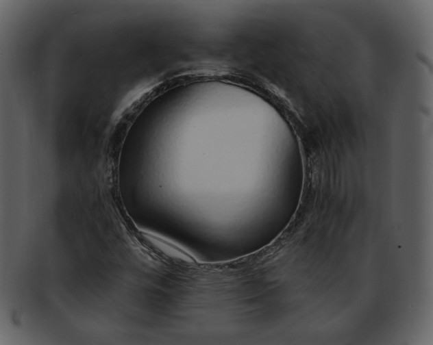 X0000093231448200710171408