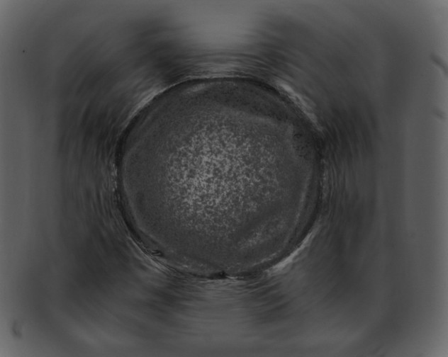 X0000093231449200710171408