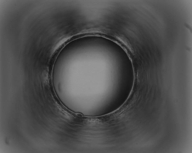 X0000093231452200710171408