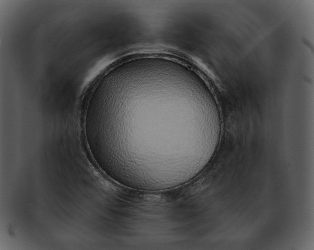 X0000093231456200710171408