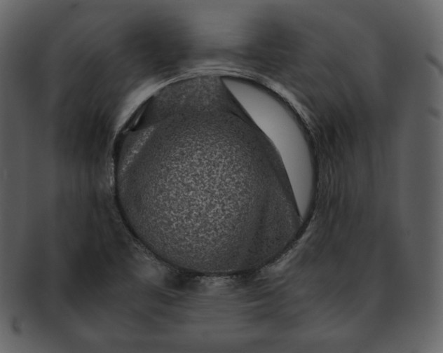 X0000093231461200710171408