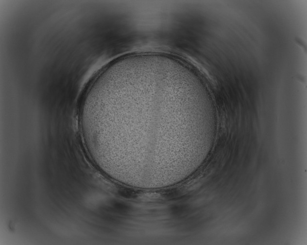 X0000093231462200710171408