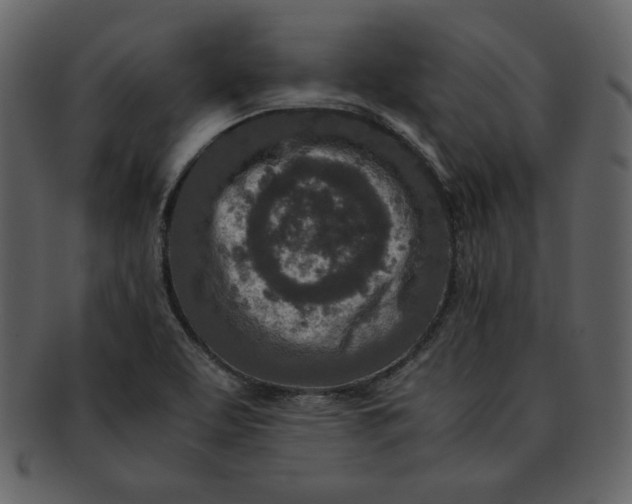 X0000093231463200710171408