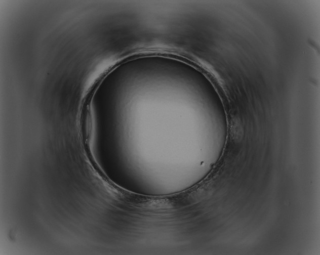 X0000093231464200710171408