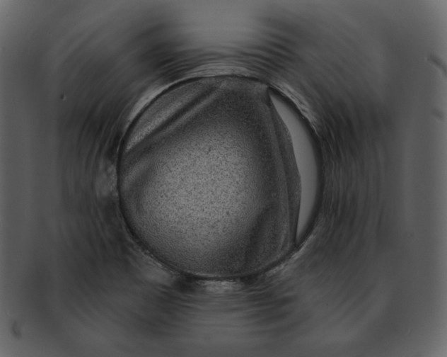 X0000093231465200710171408