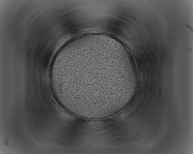 X0000093231466200710171407