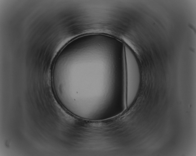 X0000093231468200710171407