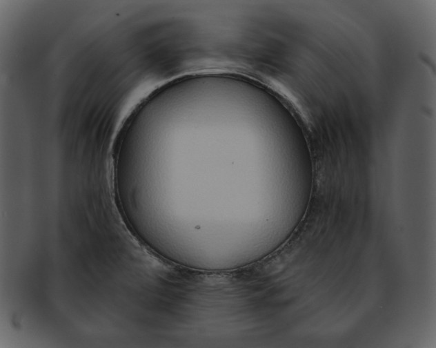 X0000093231472200710171407